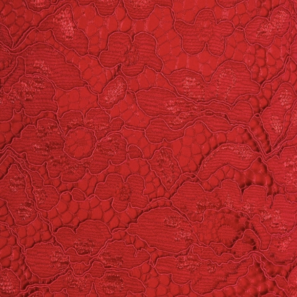 Lovers + Friends Red Lace Caspian Shift Dress - Picture 3 of 7